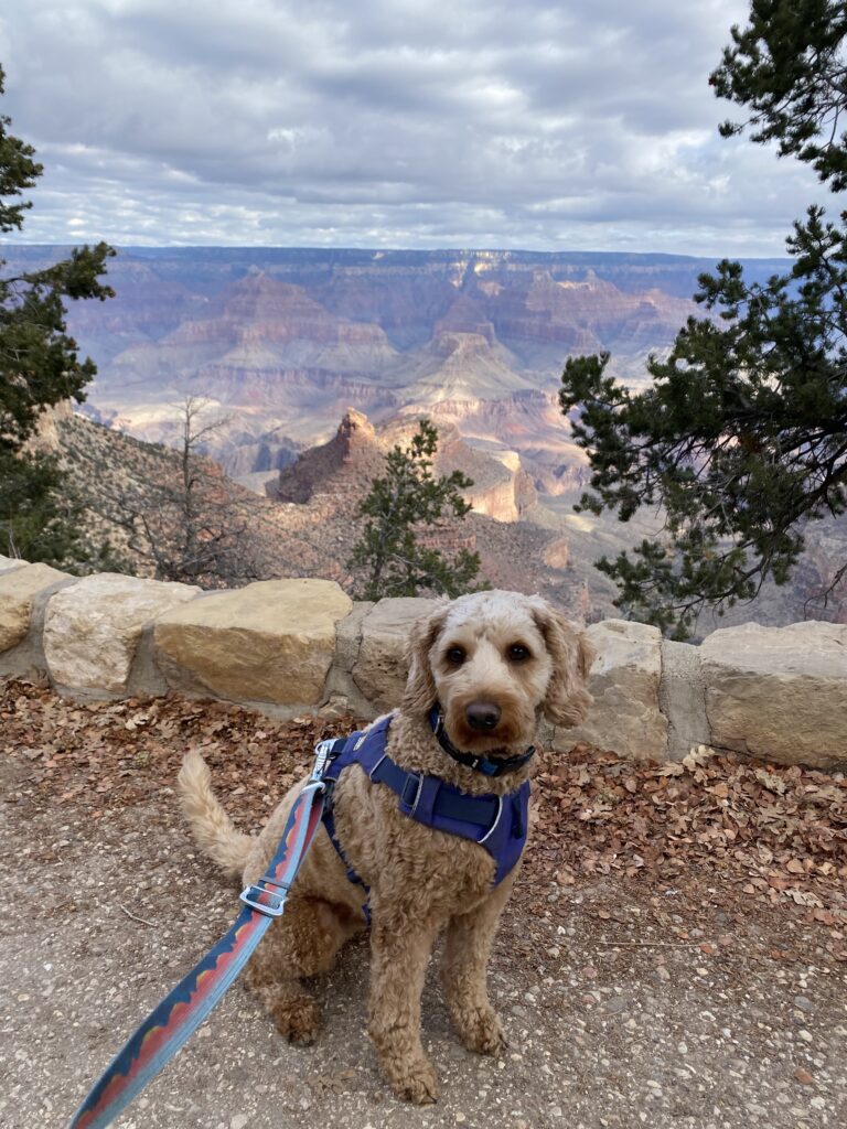 Dog Friendly US National Parks Happy People Hike